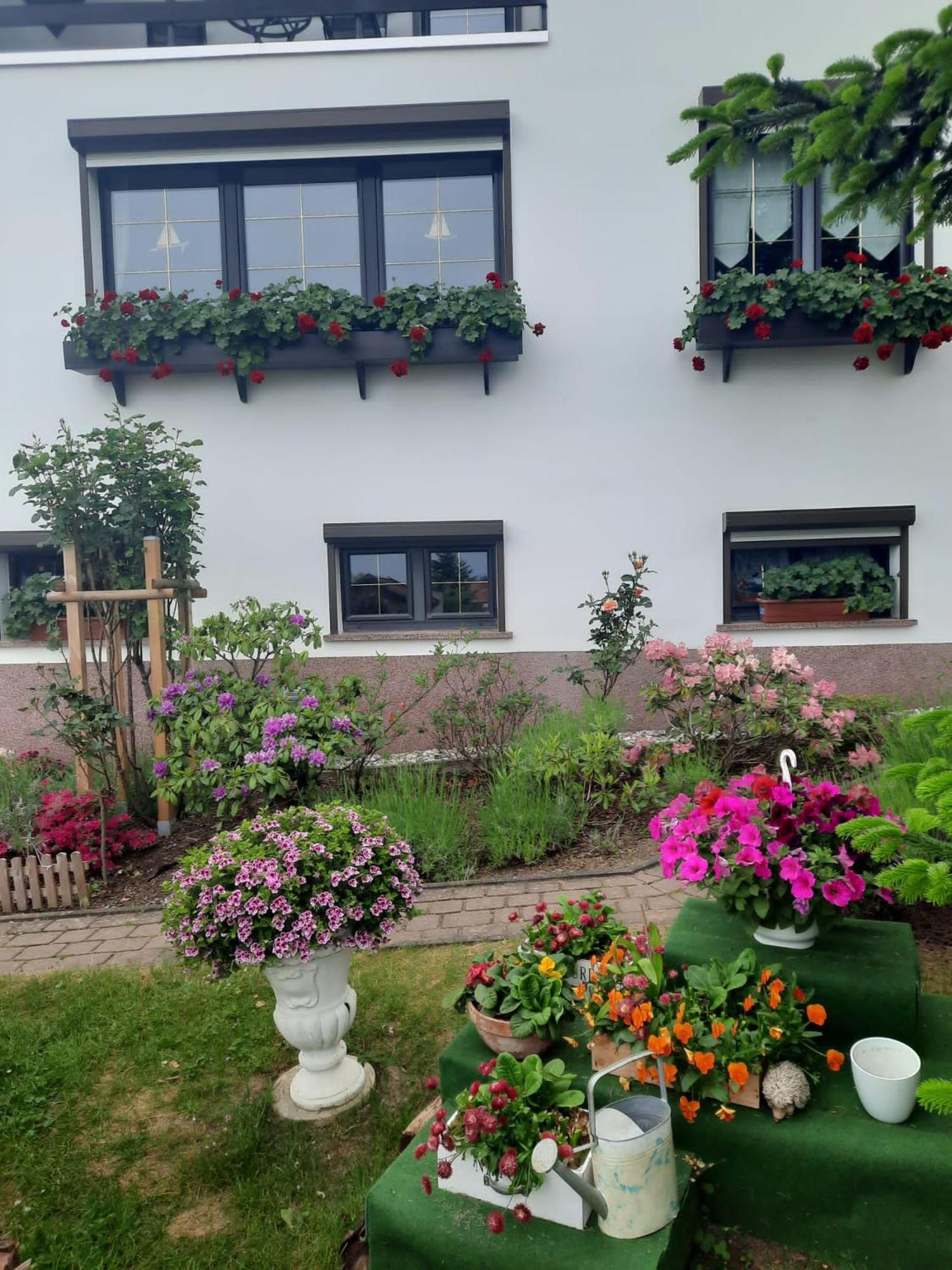 Ferienwohnung"Harzliebe" Gernrode  Exteriör bild